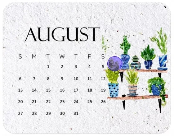✨🏆Early Holiday Sale 49% OFF🌱Eco-Friendly Plantable “Timeless” Seed Calendar 2027